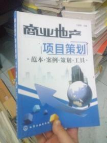 商业地产项目策划实战指南 范本、案例、策划流程与工具全解析